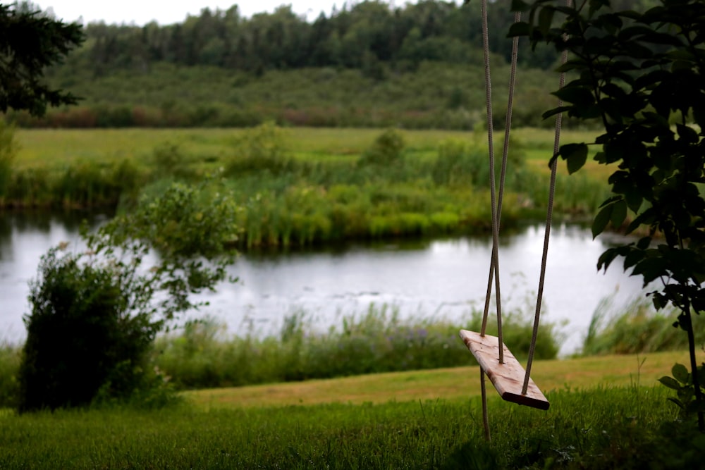 brown swing chair near river