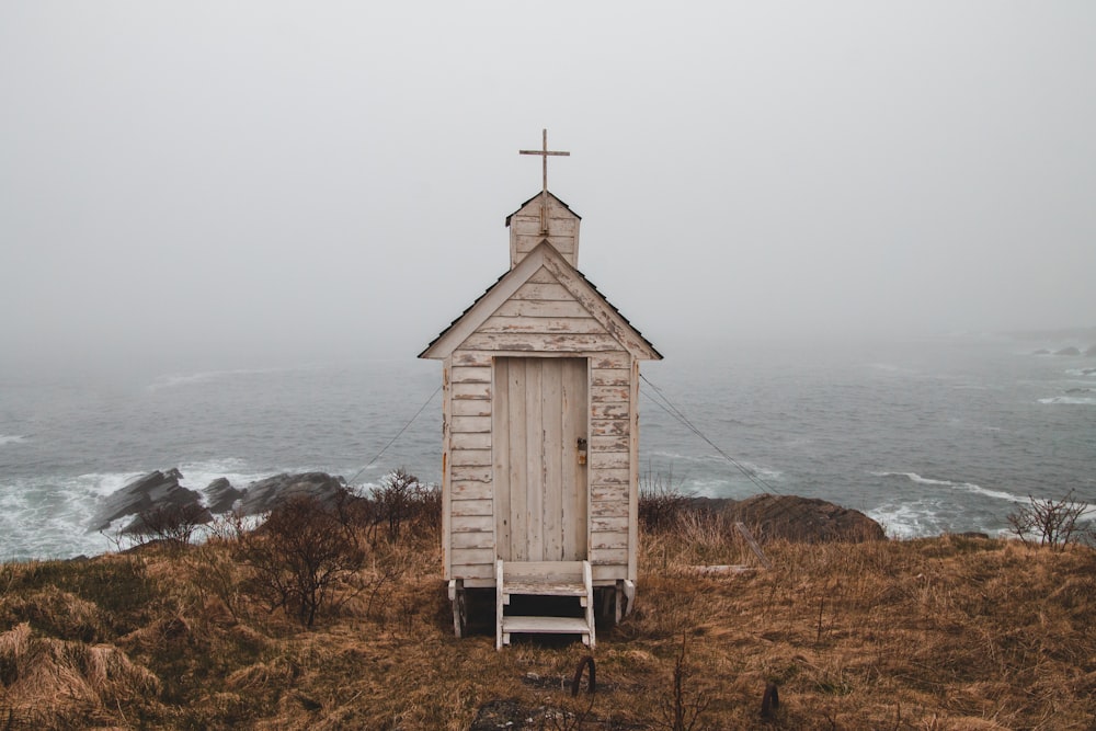 brown wooden shed