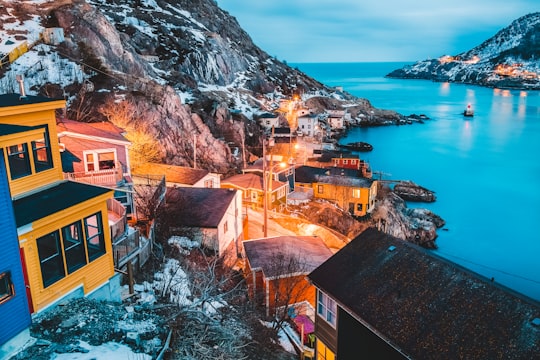 photography of buildings on mountain beside seashore during daytime in St. John's Canada