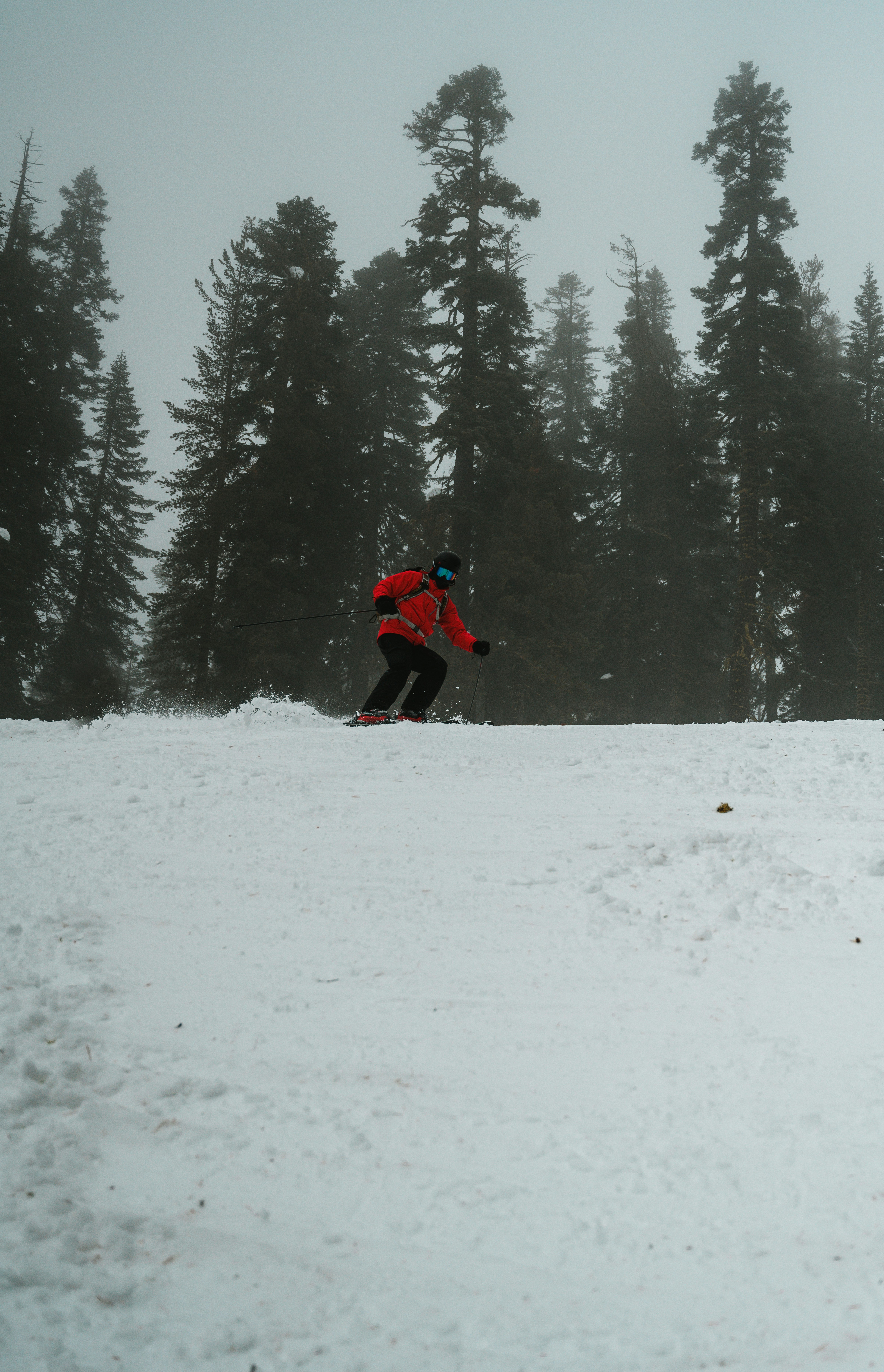 dad shredding in northstar