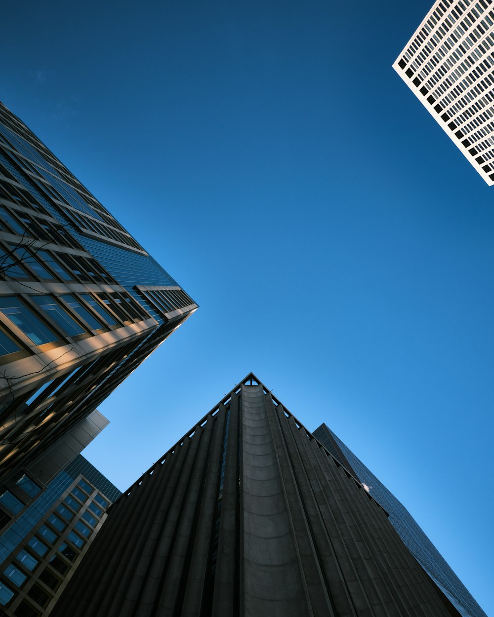 low-angle photography of buildings during daytime