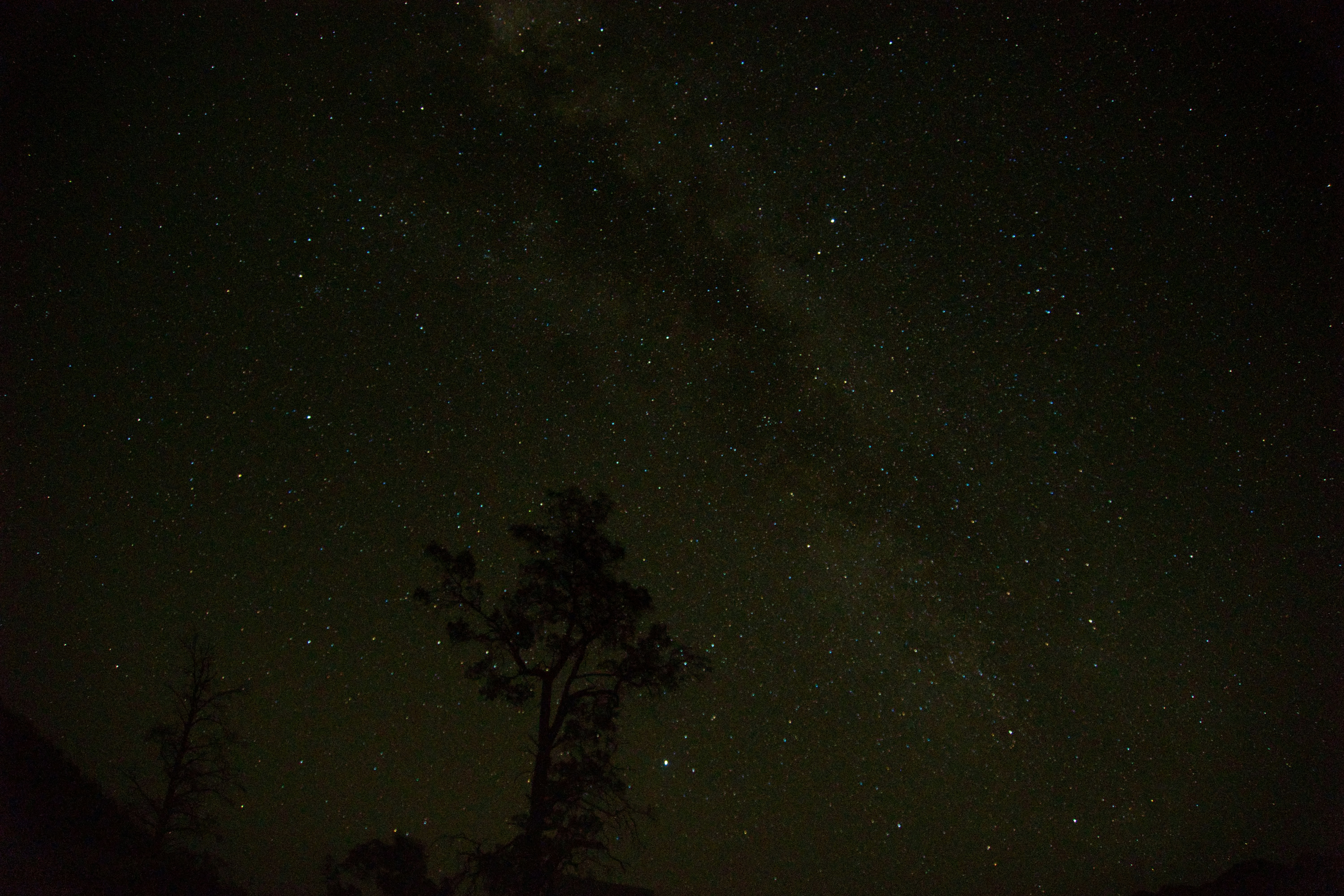 Night sky in the Outback