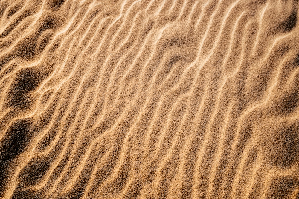 a sandy area with a small amount of sand