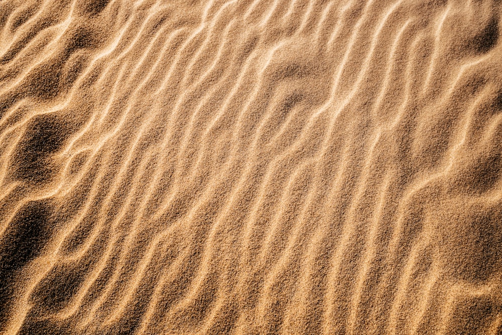 un arenal con una pequeña cantidad de arena
