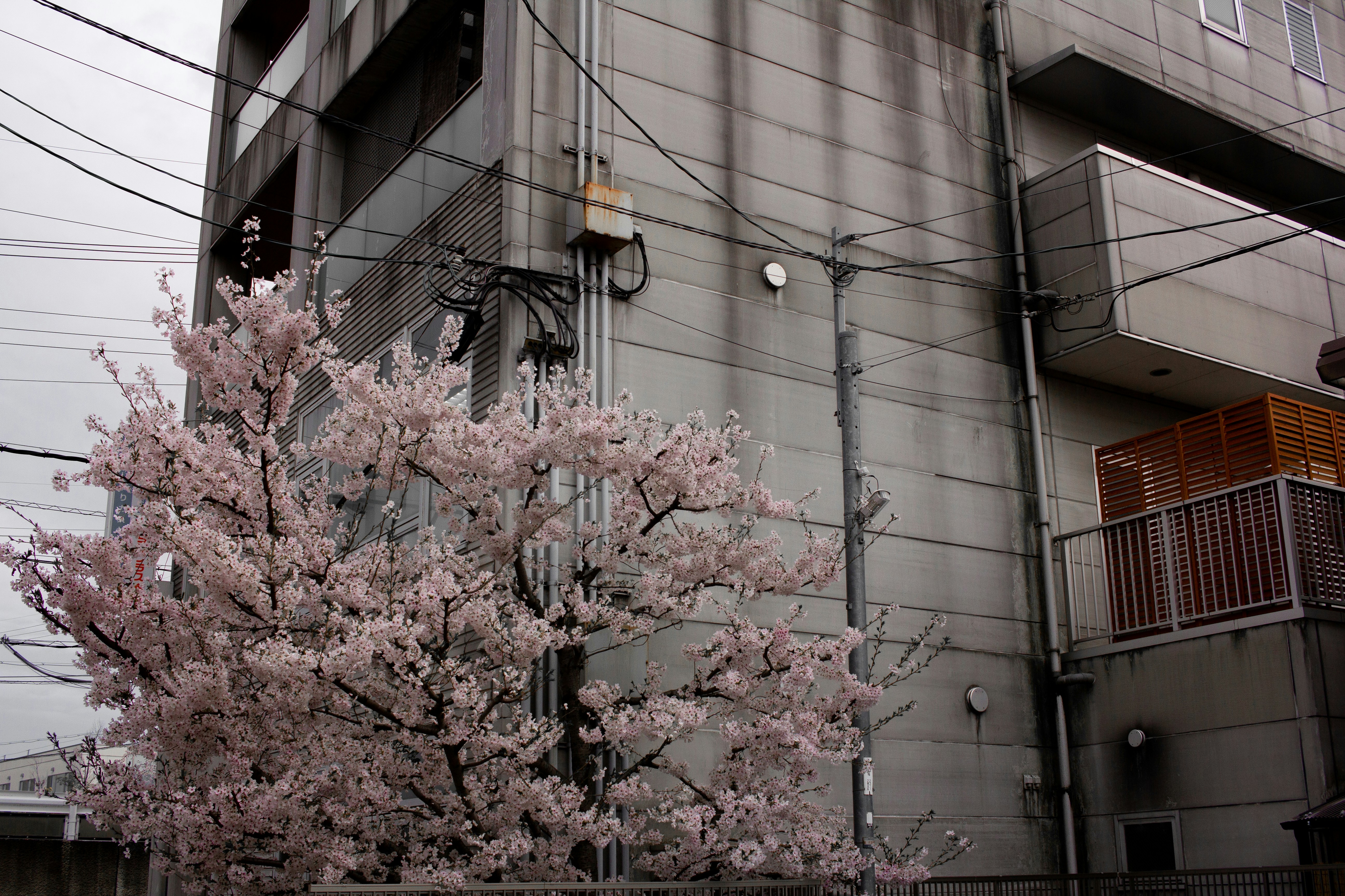 Photo by pfista