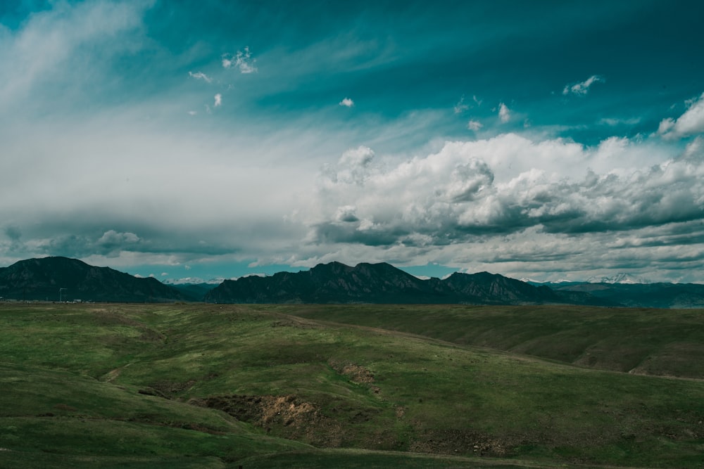 campo verde sob o céu azul