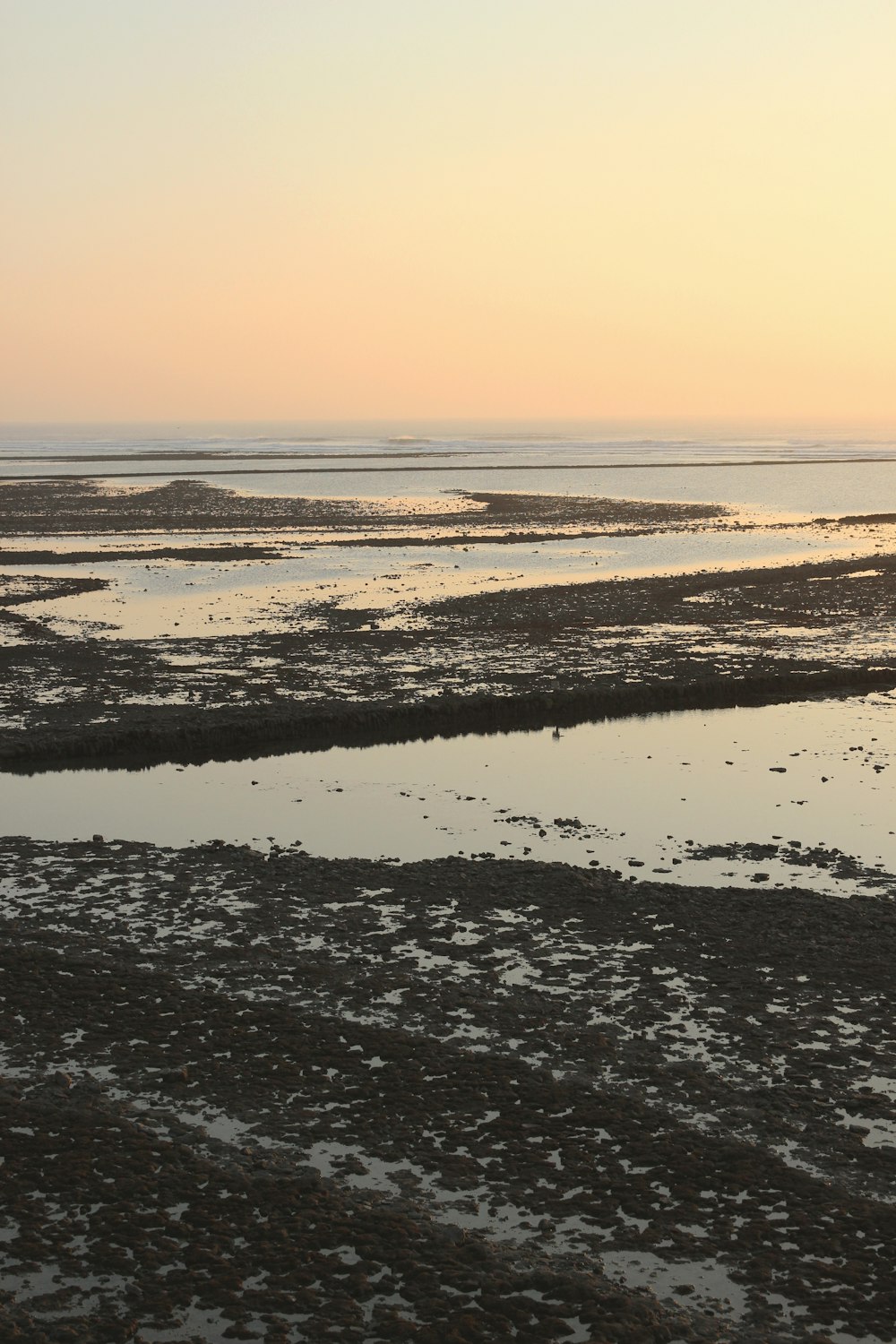 view of low tide body of water during golden hour