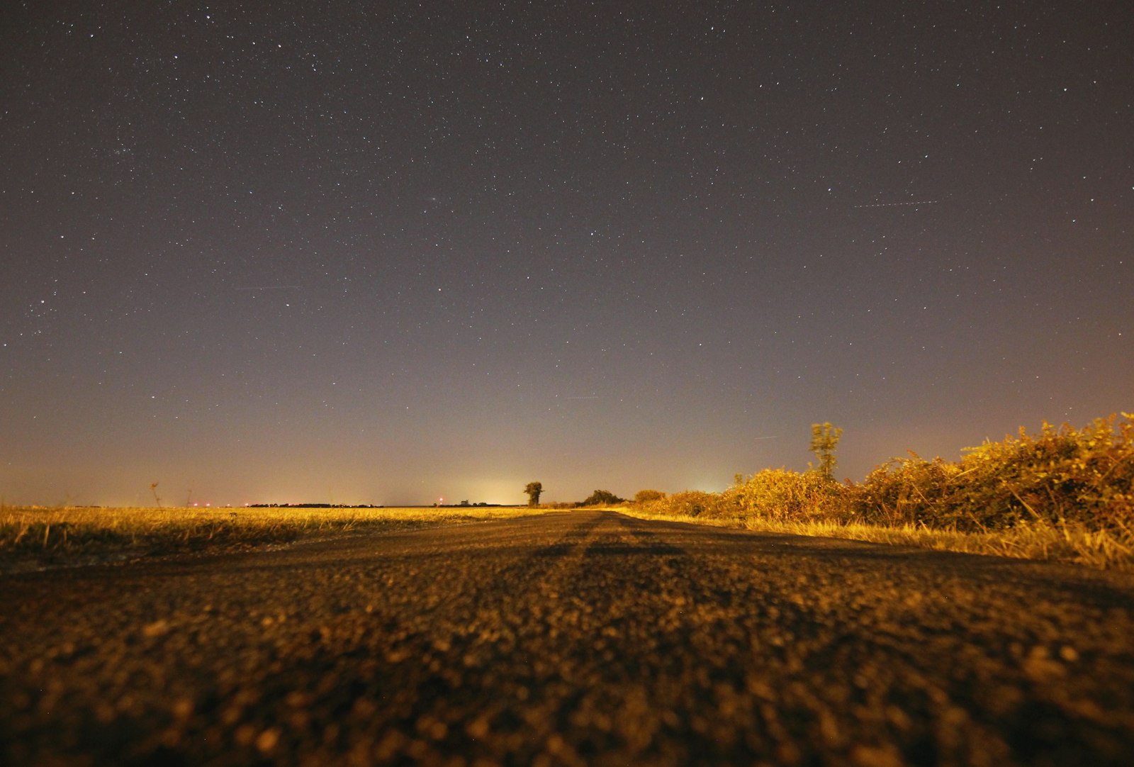 Tokina AT-X 11-20 F2.8 PRO DX Aspherical 11-20mm f/2.8 sample photo. Empty road between plants photography