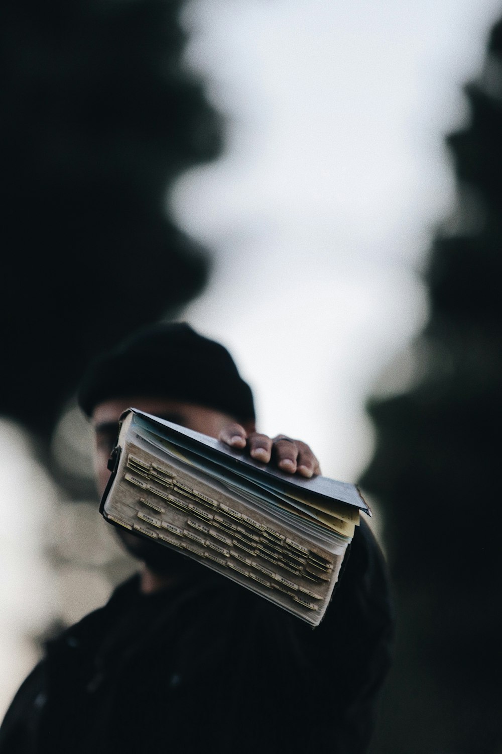 person holding book