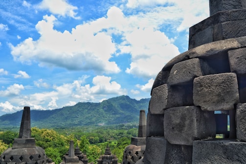 A scenic view of historical landmarks in Bihar.