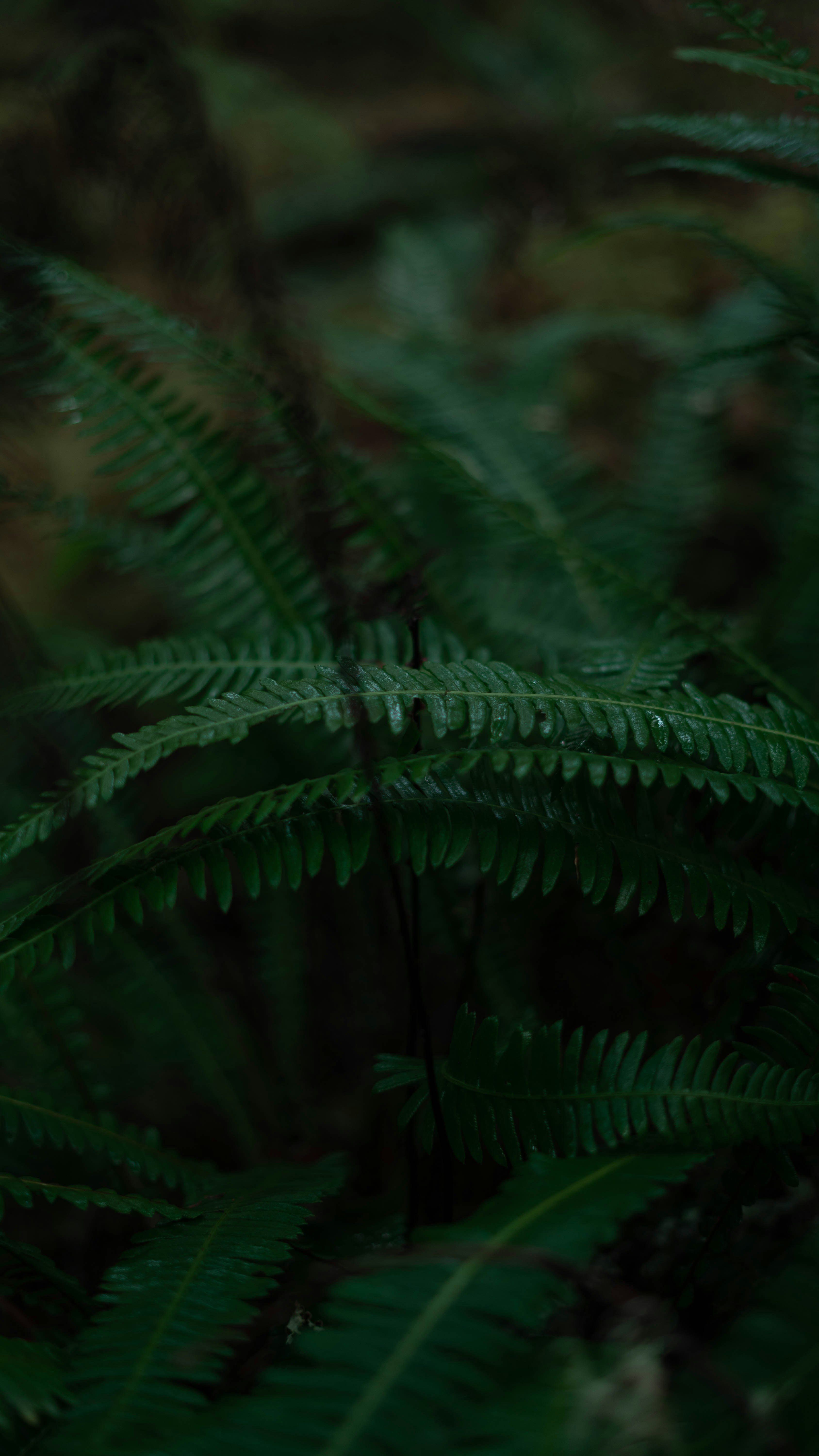 Photo by lifewithjacob