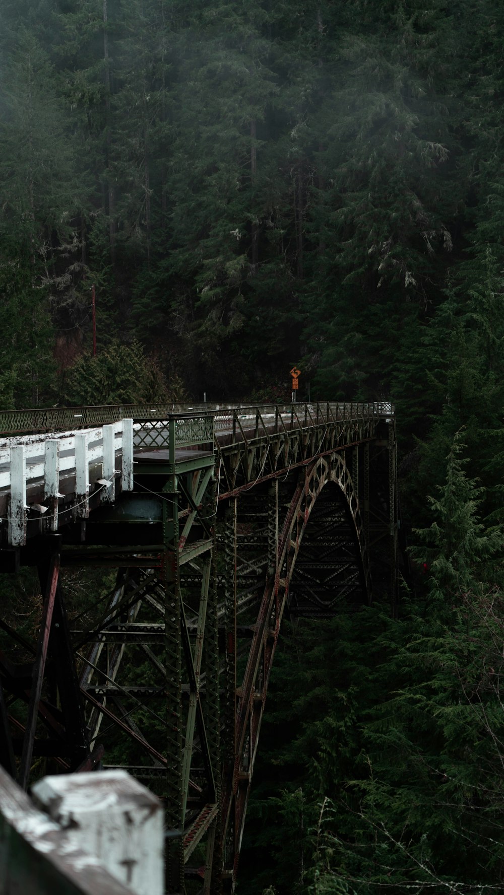 metal arch bridge facing trees