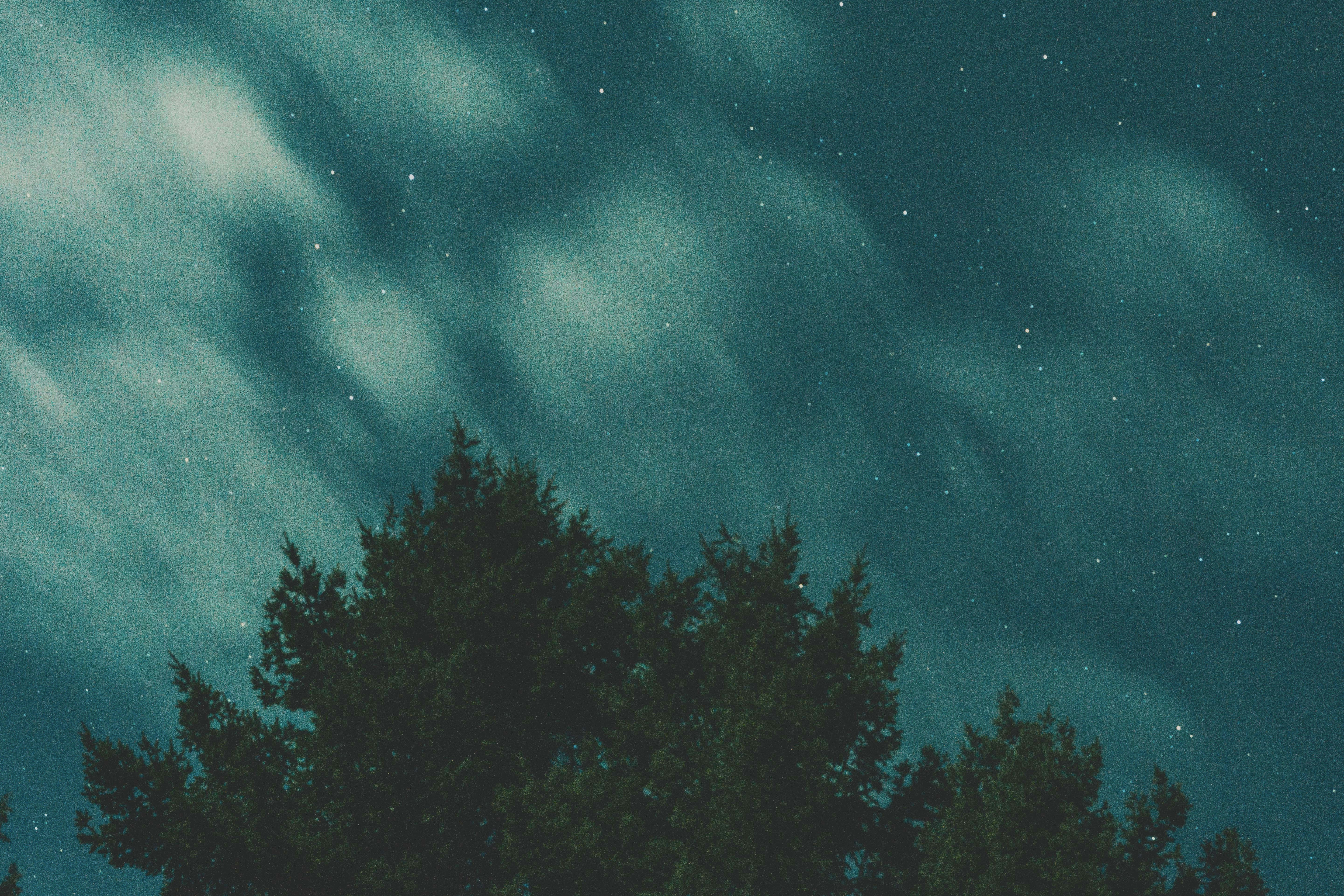 Photo by jaspergarrattphotography