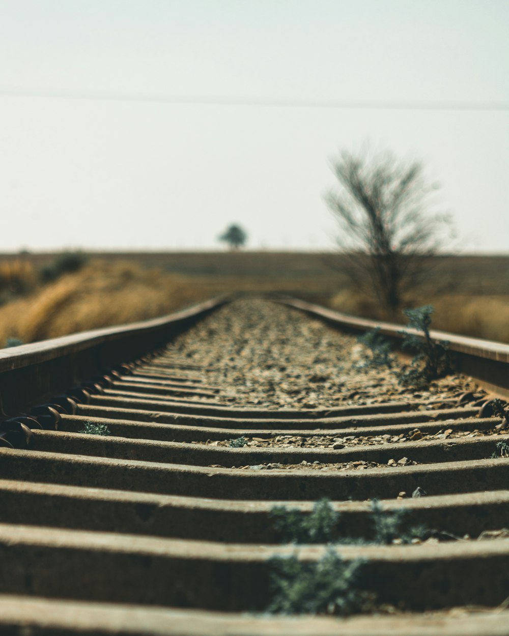 railroad under gray sky