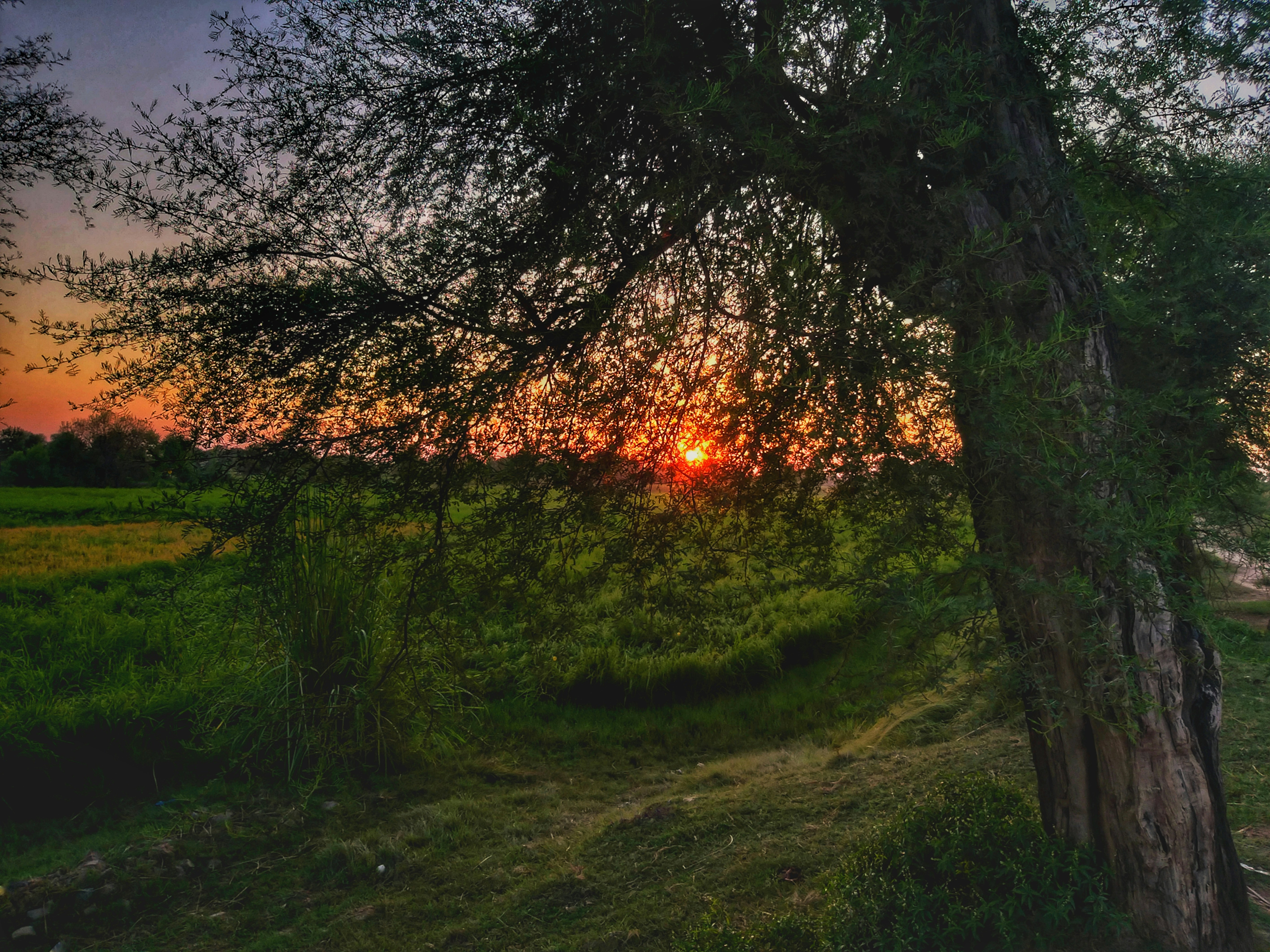 Photo by mfurqan_mazhar