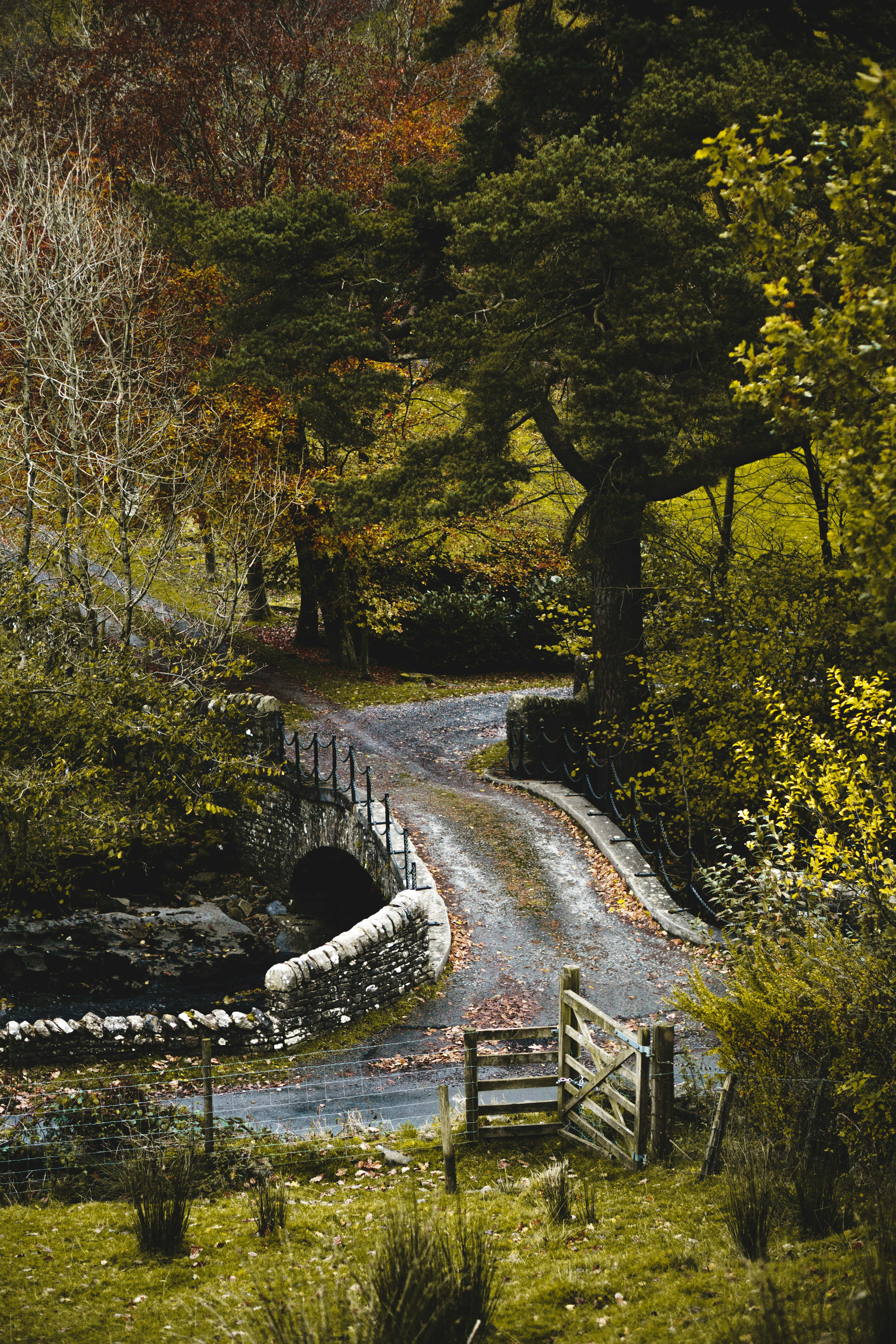 An autumnal country lane in the Yorkshire Dales