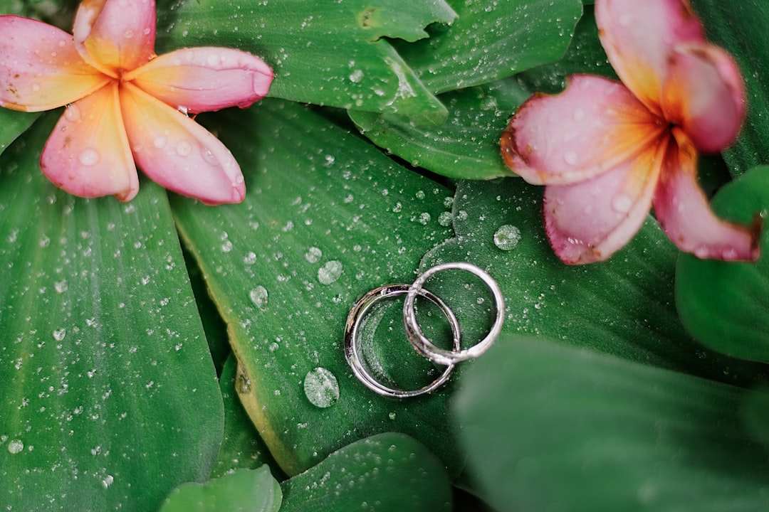 two silver-colored rings on leaves