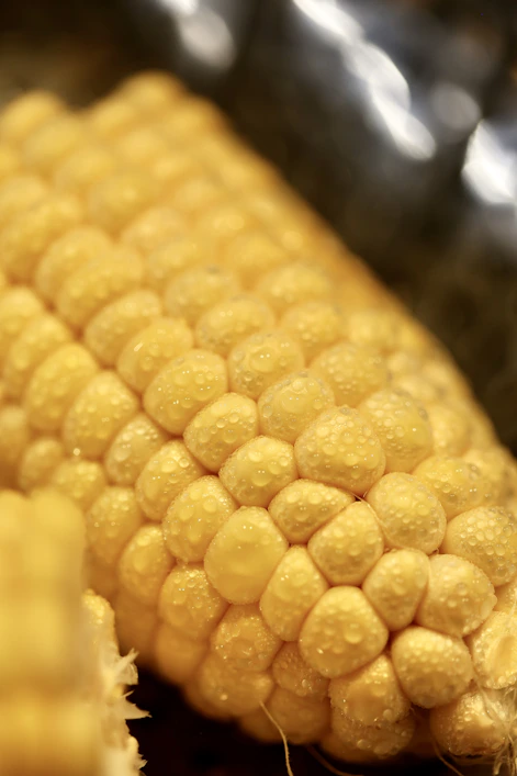 yellow corn in close up photography
