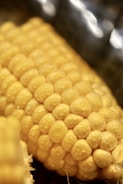 yellow corn in close up photography