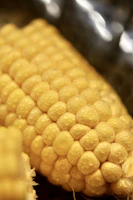 yellow corn in close up photography