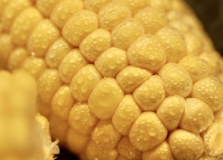 yellow corn in close up photography