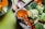 A close-up of a baking tray filled with fresh vegetables including broccoli florets and orange pumpkin slices, with foil wrapped around the pumpkin. A green bowl containing broccoli and wooden spoons can also be seen in the background on a green surface.