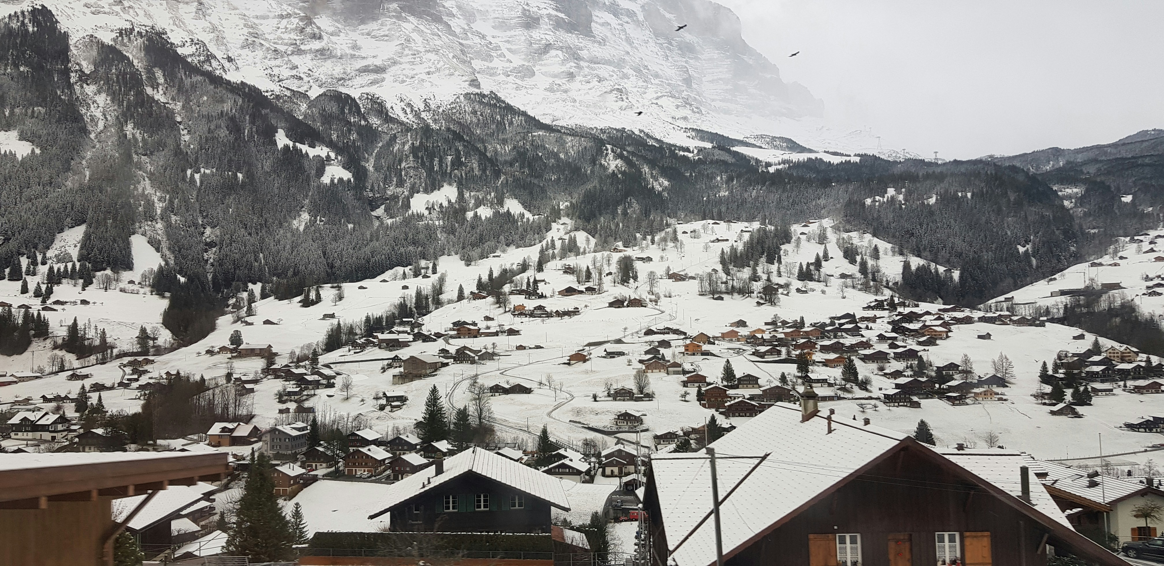 snow covered houses during daytime