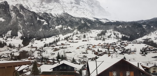 snow covered houses during daytime in Grindelwald Switzerland