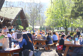 Families gathered around picnic tables with string lights overhead, enjoying food and live music outdoors.