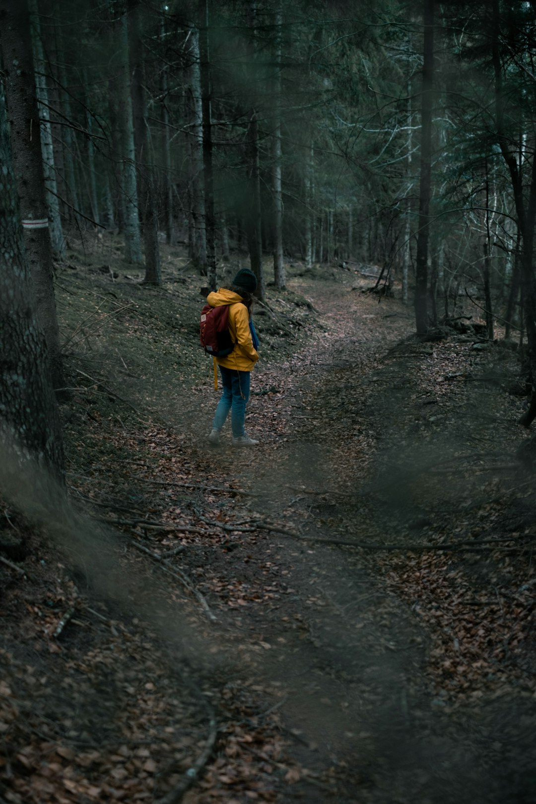 person in yellow jacket on dirt road between trees