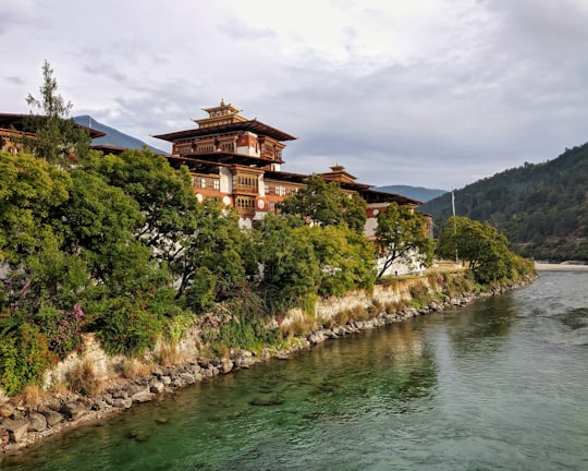 temple surrounded with trees facing body of water in Punakha Dzong Bhutan