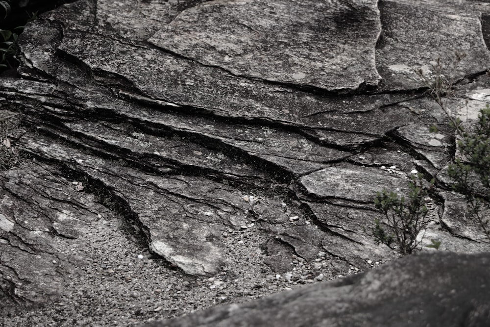 Foto en escala de grises de la roca