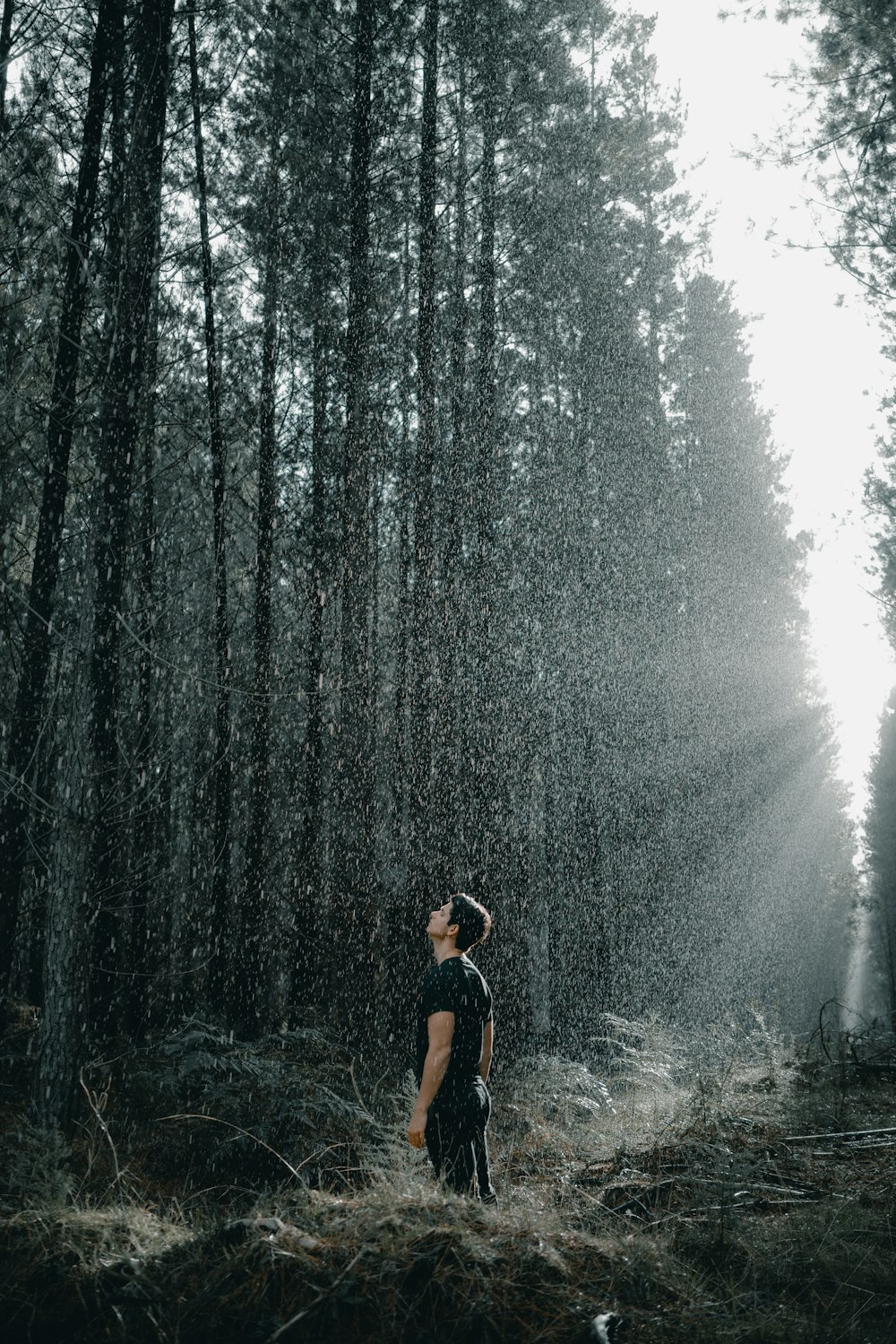昼間、木々に囲まれた黒いTシャツを着た男性の浅い焦点の写真
