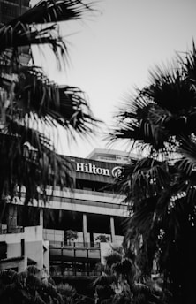 trees near Hilton building during day