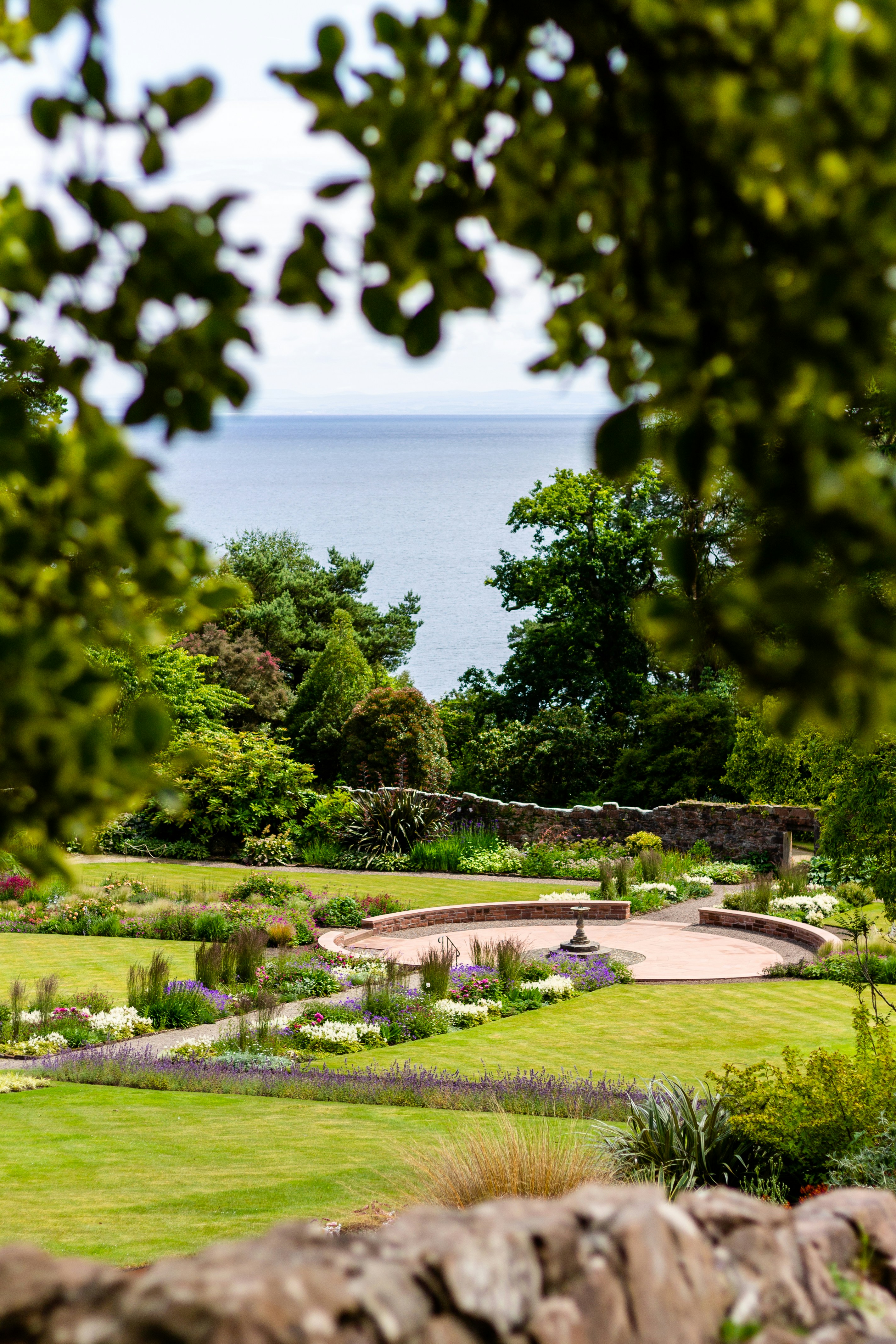 Chandlers Ford Tree Surgery