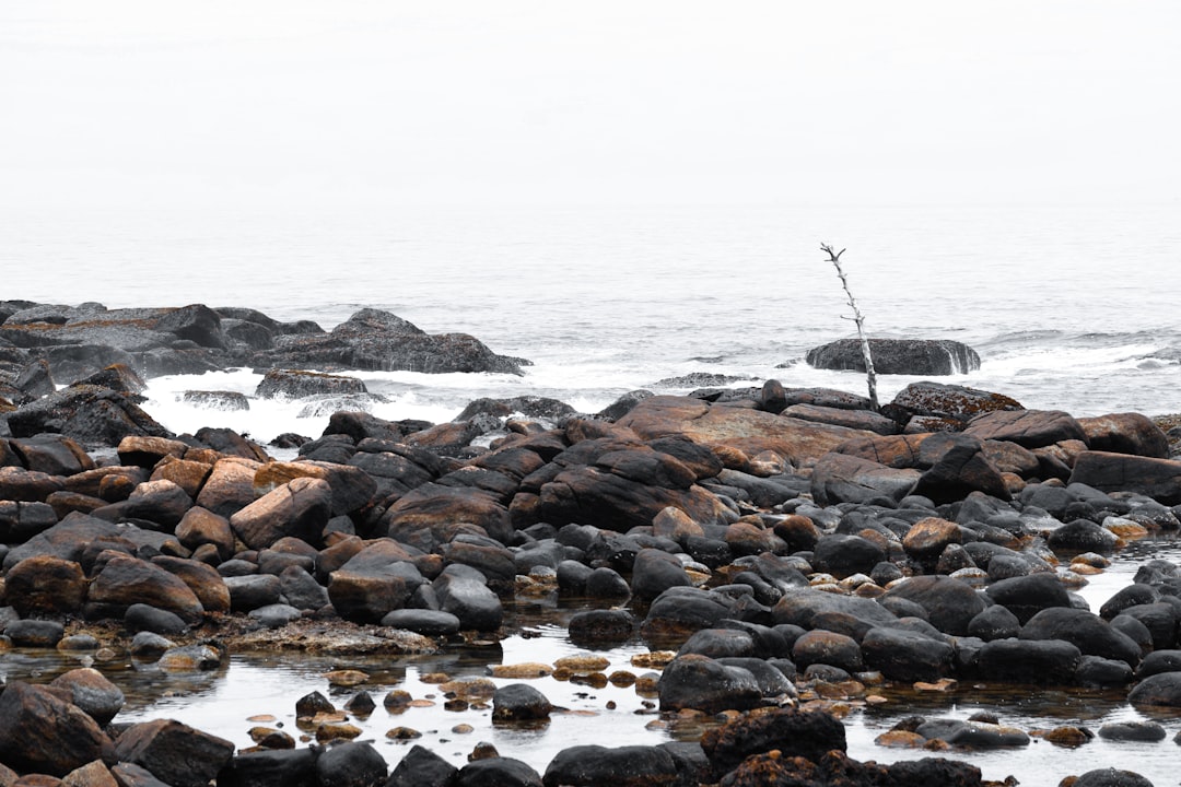 Beach photo spot Dondra Bay Galle