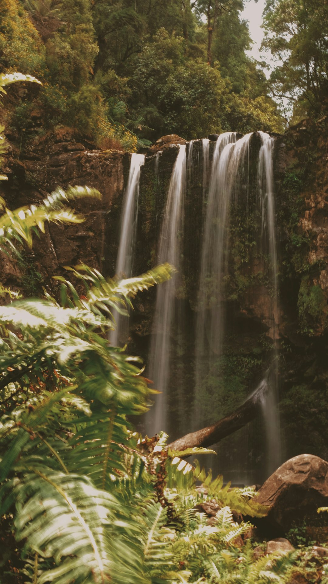 Waterfall photo spot Great Otway National Park Australia