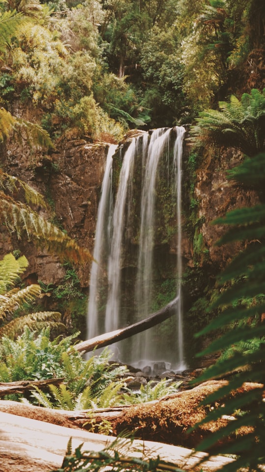 low angle photography of waterfalls in Great Otway National Park Australia