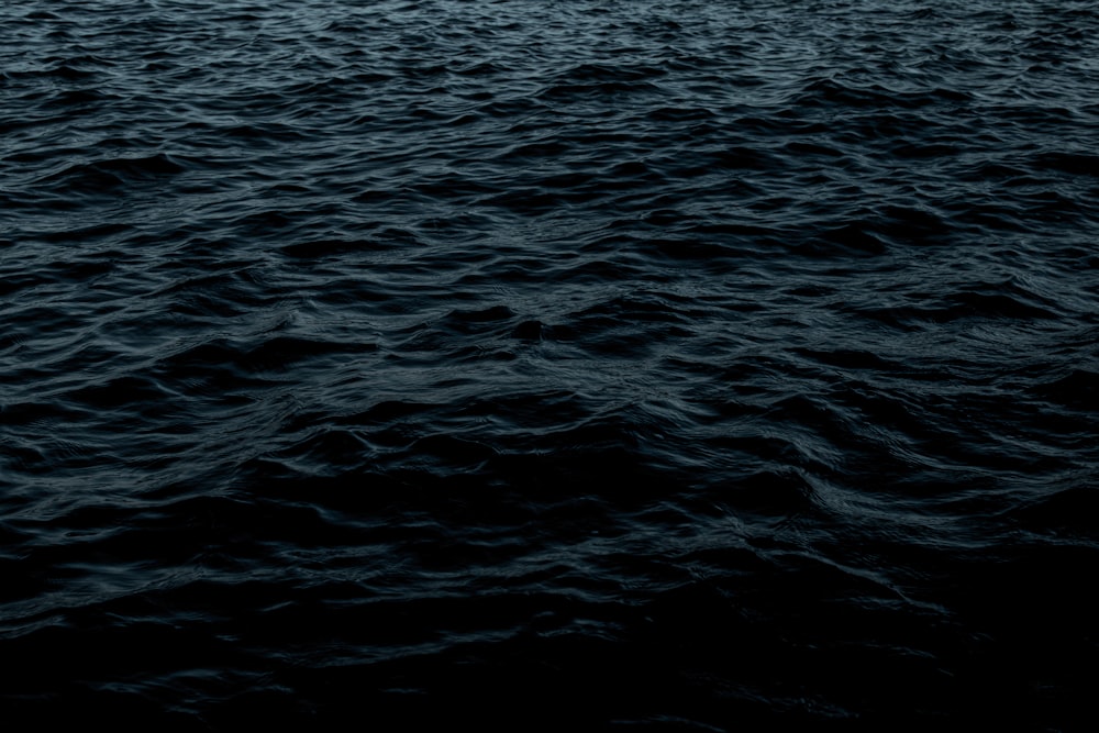 shallow focus photo of body of water