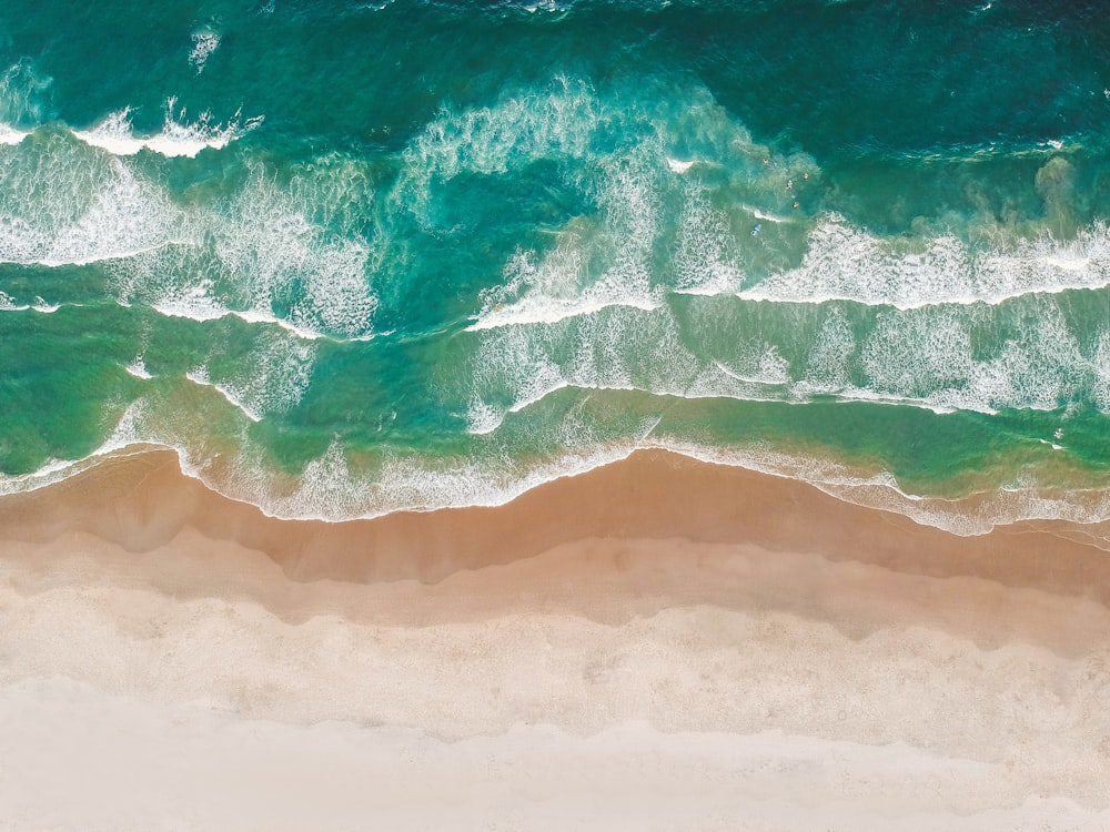 Fotografía a vista de pájaro de la costa