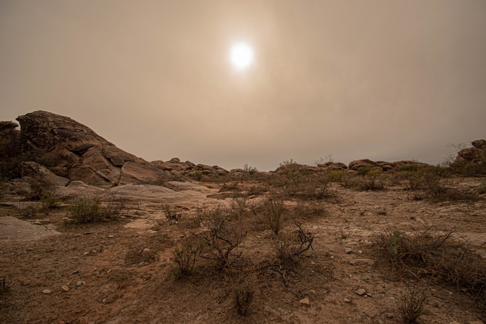 landscape photography of rock formations during daytime