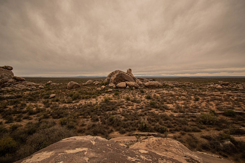 landscape photography of brown rocks on field under gray sky