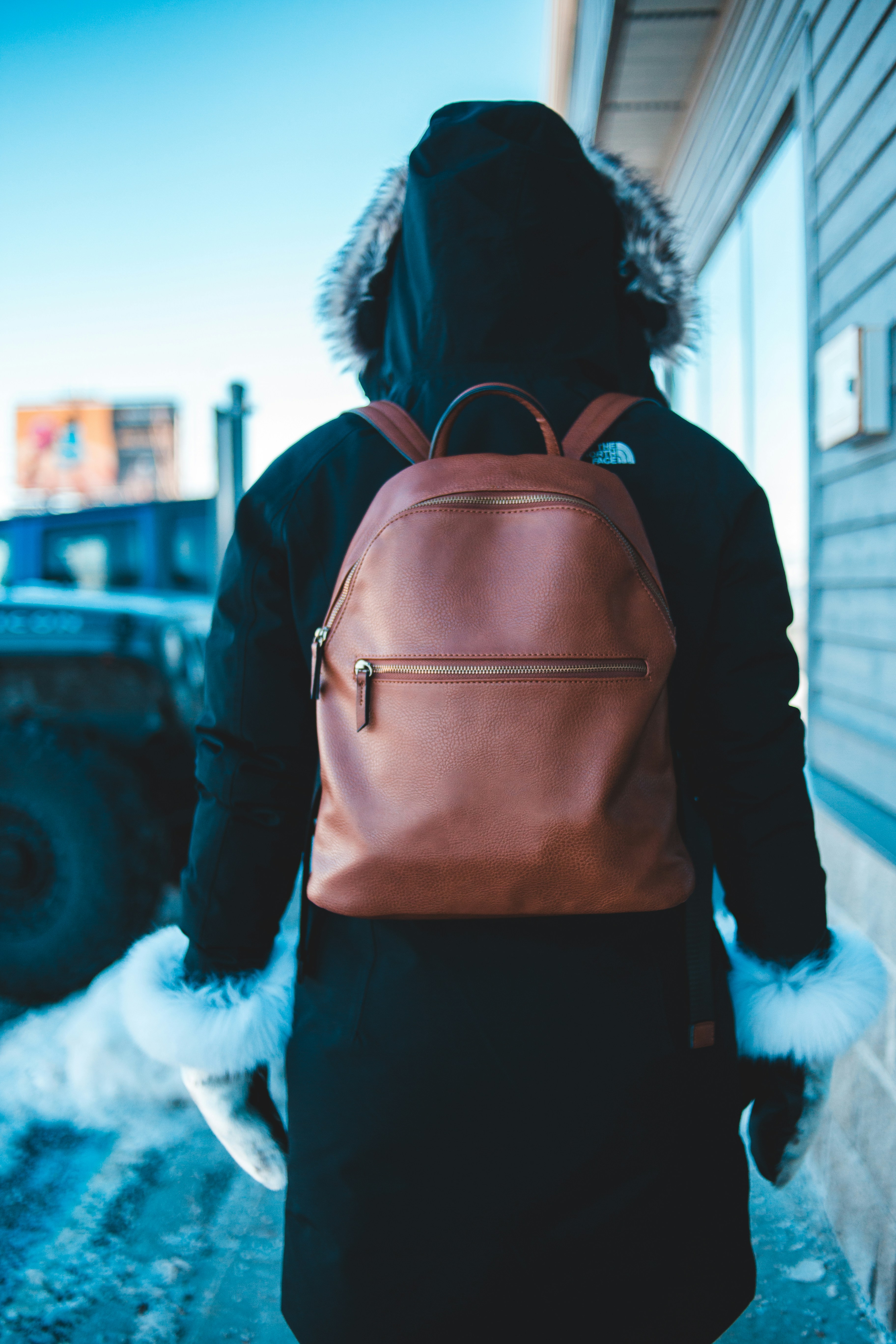 Cozy Winter Collection