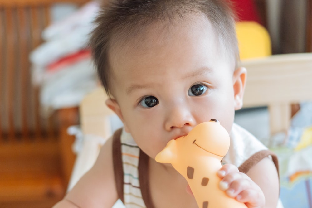 selective focus photography of toddler holding giraffe toy