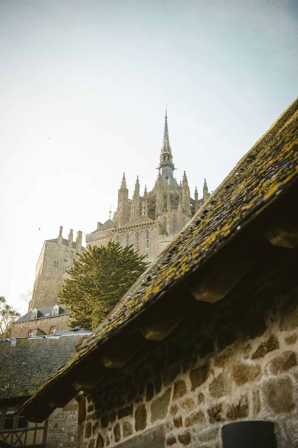 architectural photography of brown Mont-Saint-Michel during daytime