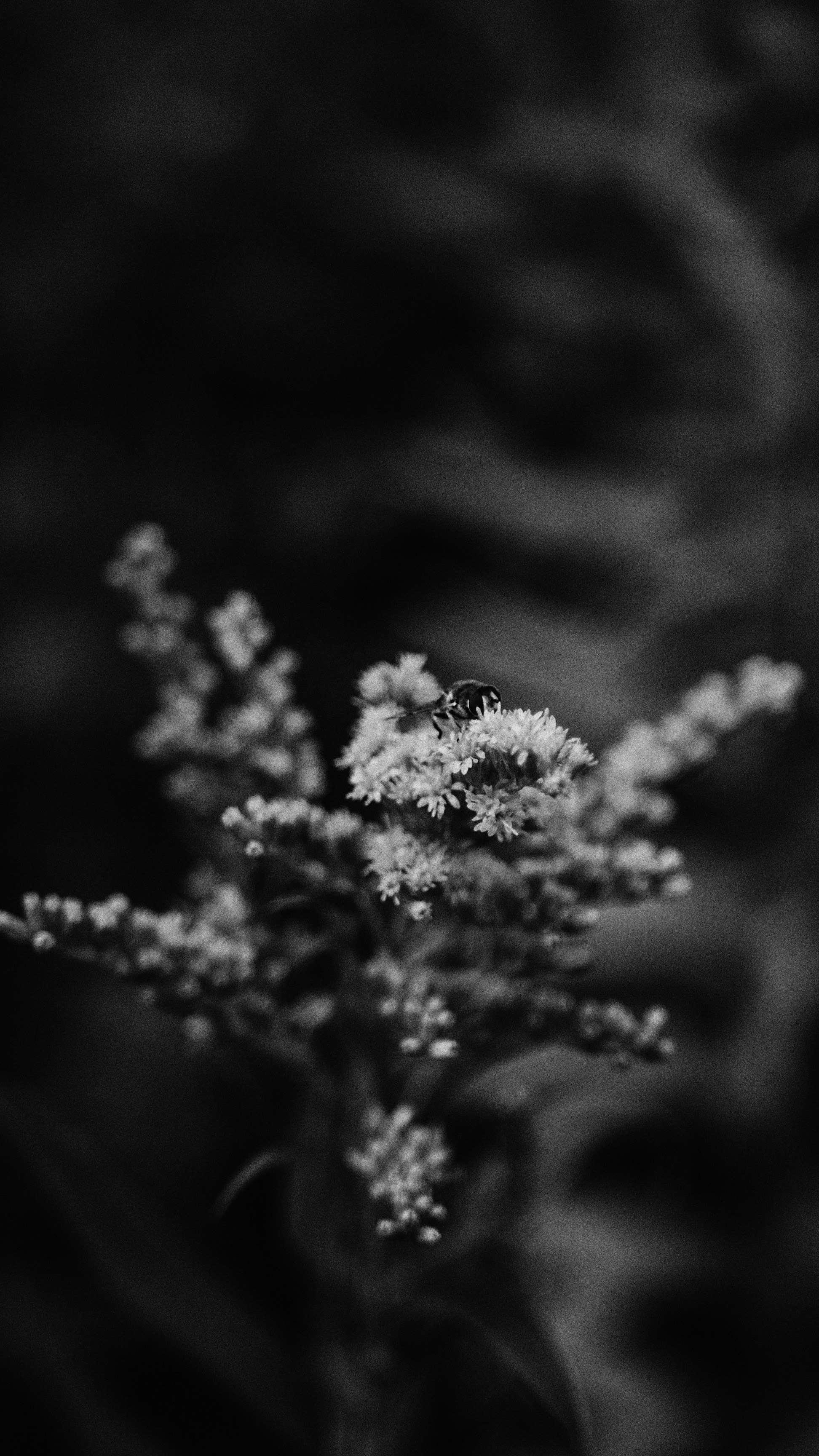 Photo by paul_hoenhorst