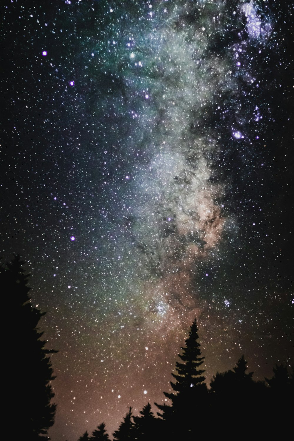 a night sky filled with stars and trees