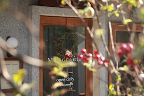 A café or smoothie shop entrance with a glass door displaying a hanging green wreath with red berries and white ornaments, partially obscured by a branch of a plant with round red fruits and green leaves in the foreground. The door features business hours, indicating the shop is open daily from 9:00 to 20:00.