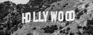 A large, iconic sign featuring the word 'HOLLYWOOD' in bold, white capital letters is mounted on a hillside. The surrounding terrain includes rugged, grassy hills with scattered shrubs and small trees. The entire scene is presented in black and white.