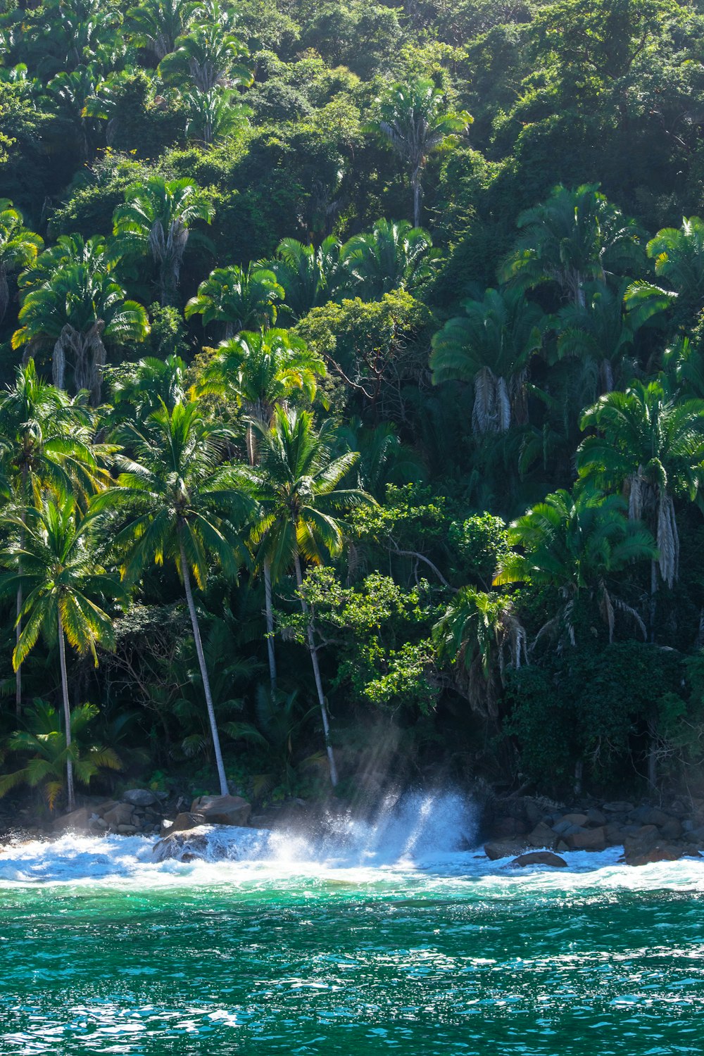 ocean waves crashing to island during day